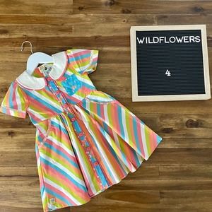 NWT Wildflowers Rainbow Row Dress 4